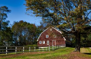 Connecticut Bankruptcy Exemptions